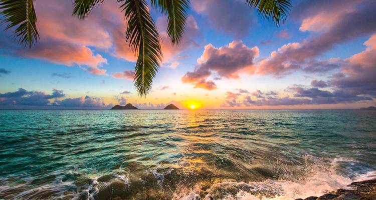 Best of Hawaii (Intra Trip Air Hawaii 2 Flights, Premium Cruise) - Trafalgar 6