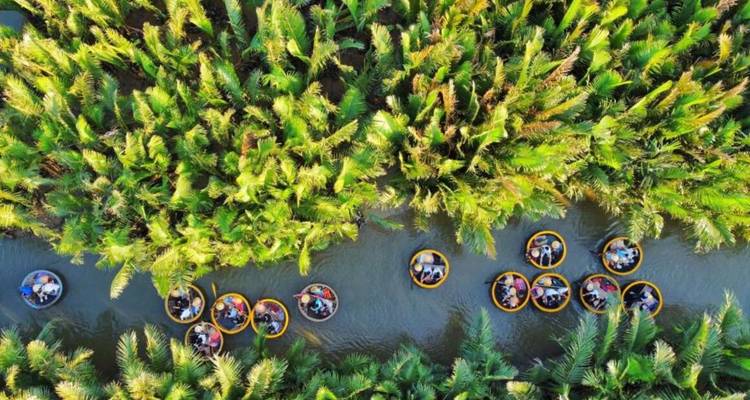 Aerial view of people in circular boats navigating through lush greenery.