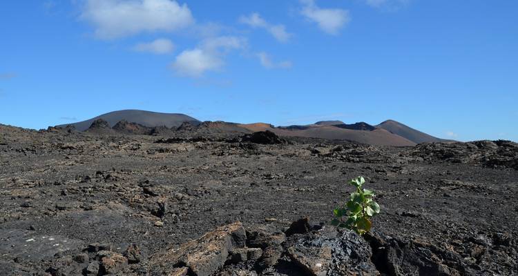 12 Day  Grand Tour of Iceland - STM Tours LLC 4