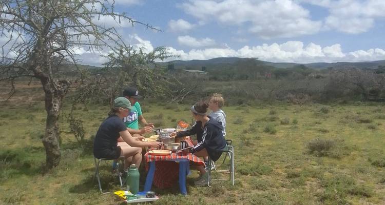 Des gens qui pique-niquent dehors par une journée ensoleillée.