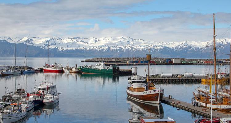 7 jours Secrets aurores boréales - Westfjords - STM Tours LLC 2