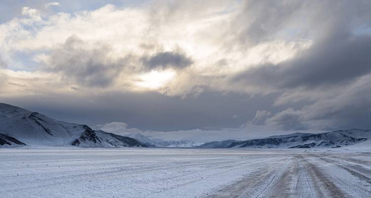 Léopards des neiges de l'Altaï : Expédition photographique en Mongolie - Yellowwood Adventures Ltd 3