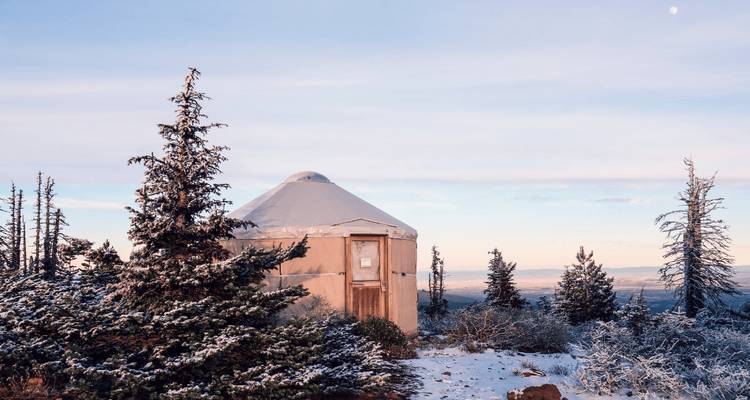 Yurta en un bosque de pinos nevado.