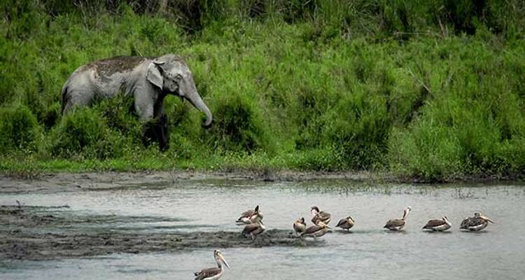 Christmas Beyond the Brahmaputra - Wendy Wu Tours 4