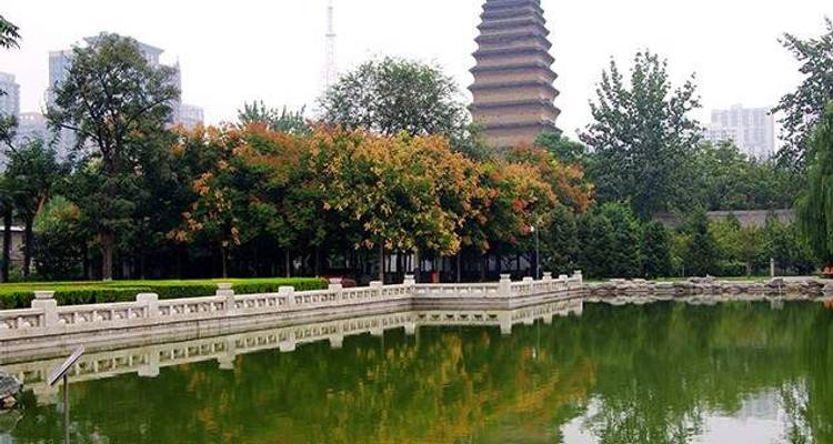 Le majestueux Yangtze - Wendy Wu Tours 6