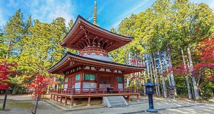 Découvrez le Japon - Wendy Wu Tours 10