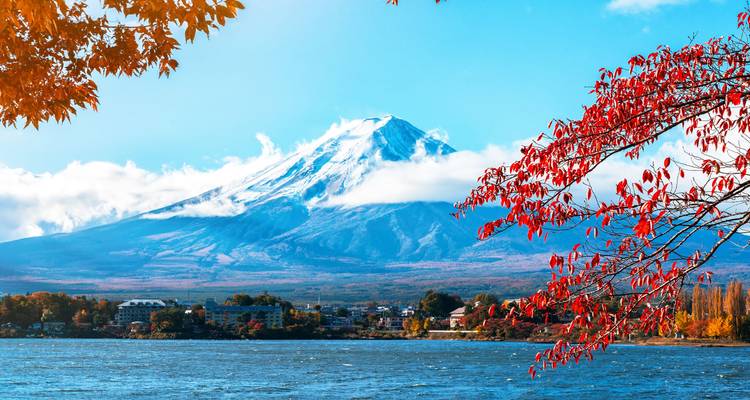 Une semaine au Japon - Wendy Wu Tours 5