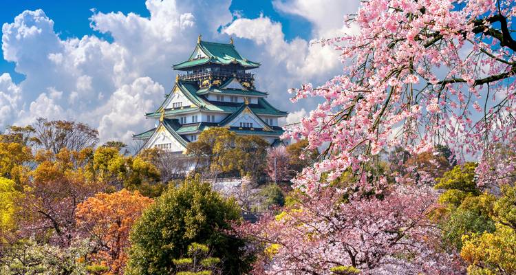 Una semana en Japón - Wendy Wu Tours 2
