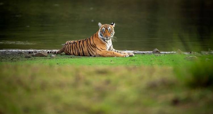 Inspiring India - Wendy Wu Tours 4