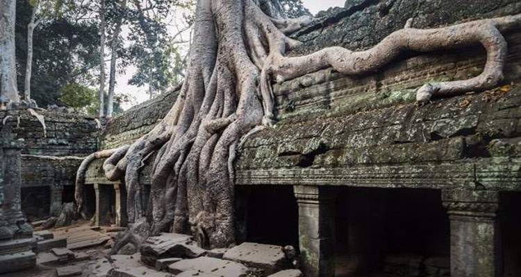 Vietnam & Cambodia Discovery - Wendy Wu Tours 3