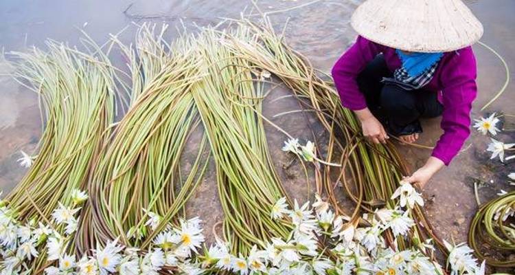 Vietnam & Cambodia Discovery - Wendy Wu Tours 4