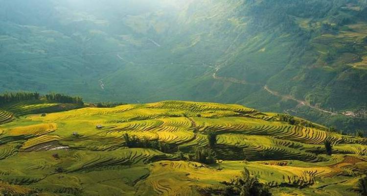 Vietnam & Cambodia Discovery - Wendy Wu Tours 6