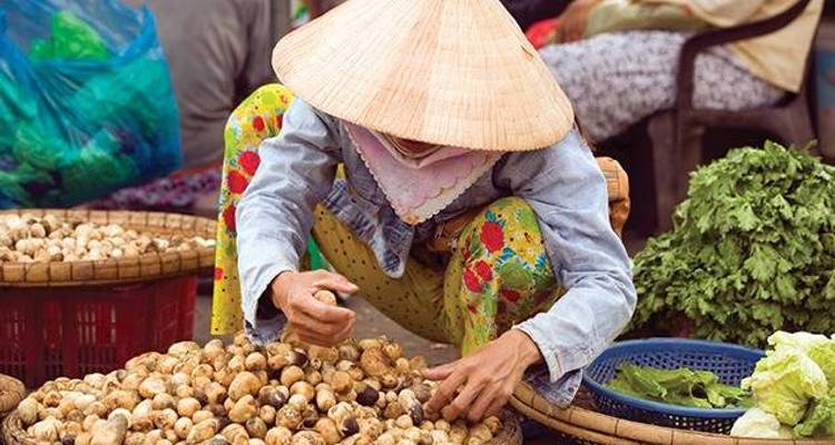 Vietnam & Cambodia Discovery - Wendy Wu Tours 9