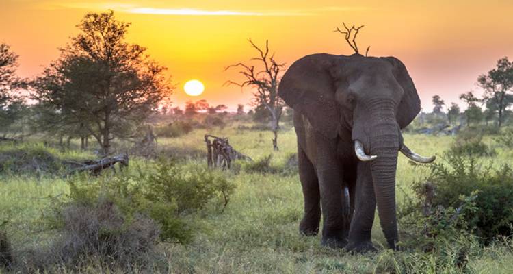 Kruger to Cape Explored - Wendy Wu Tours 3