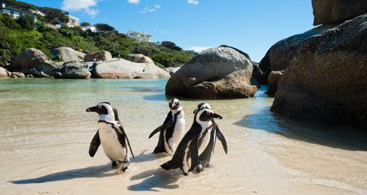 Kruger to Cape Explored - Wendy Wu Tours 10
