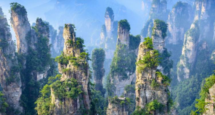 Gemmes de Chine - Wendy Wu Tours 2