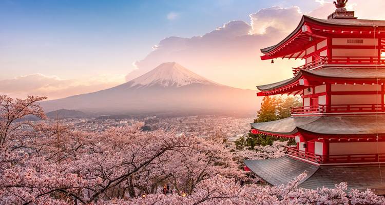 Berg Fuji met kersenbloesems en een traditionele Japanse pagode.