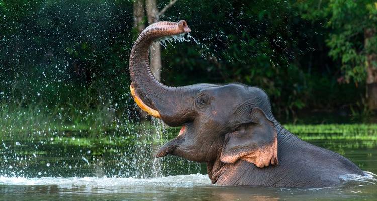 Singapore to Bangkok by Rail - Wendy Wu Tours 4