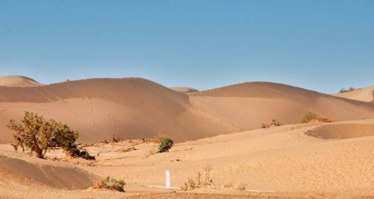 Mongolie & Festival Naadam - Wendy Wu Tours 2