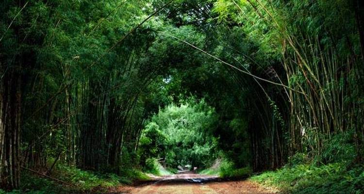 Explorateur de la Chine - Wendy Wu Tours 7