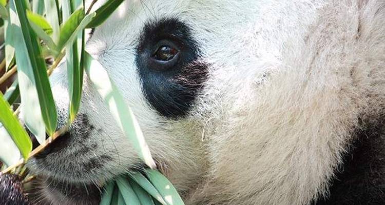 Explorateur de la Chine - Wendy Wu Tours 10