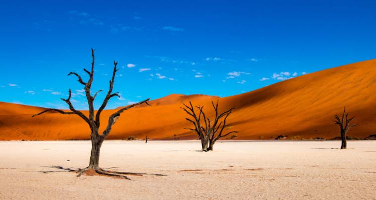 Namibia Adventure - Wendy Wu Tours 2
