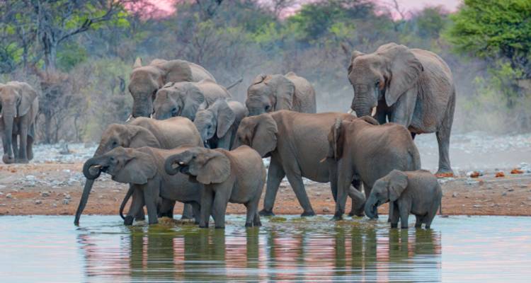 Namibia Adventure - Wendy Wu Tours 4