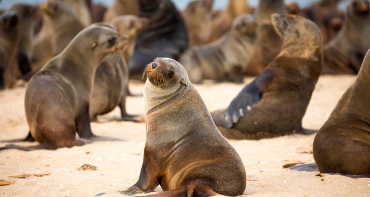 Namibia Adventure - Wendy Wu Tours 7