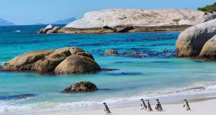 Noël en Afrique du Sud - Wendy Wu Tours 1