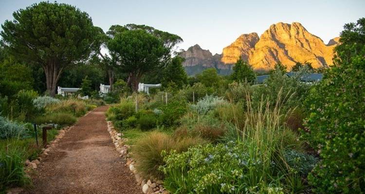 Noël en Afrique du Sud - Wendy Wu Tours 4