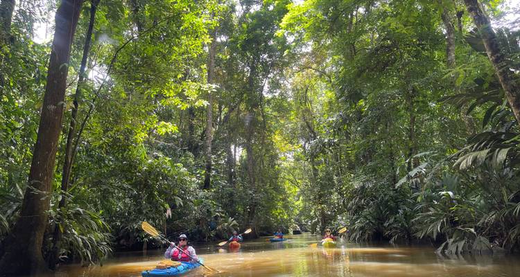 7-Day Tortuguero Kayaking Trip - Sea Kayaking Costa Rica 5