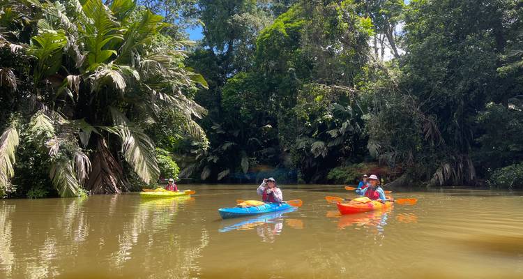 7-Day Tortuguero Kayaking Trip - Sea Kayaking Costa Rica 3