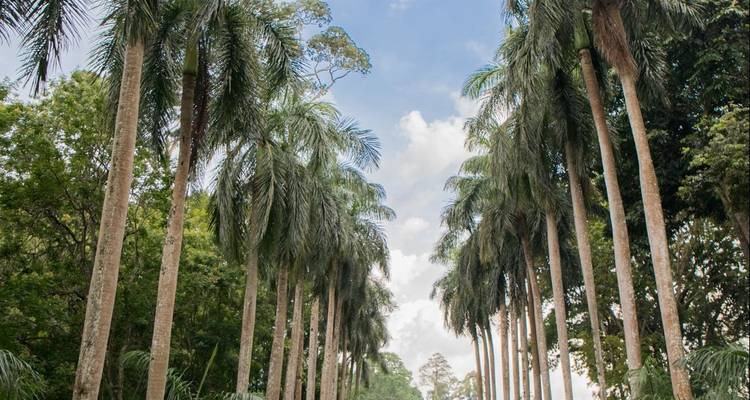 Aventure complète au Sri Lanka - Exotic Perla 4