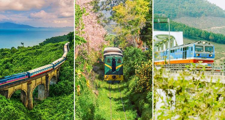Three different scenic views of trains in lush and coastal landscapes.