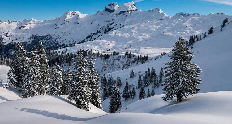 Festival du Nouvel An de 5 jours - STM Tours LLC 4