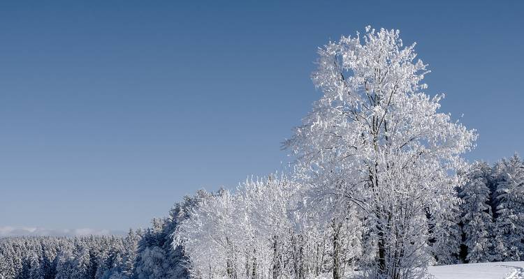 Festival du Nouvel An de 5 jours - STM Tours LLC 6