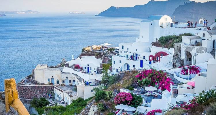 Vue panoramique de Santorin avec des bâtiments blancs et des fleurs roses surplombant la mer.
