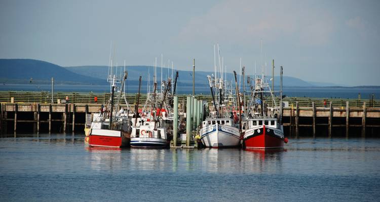 L'Est du Canada : Les points forts des Maritimes et de Terre-Neuve - G Adventures 3