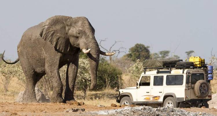3-day Chobe Big Five Safari at Two Rivers Hotel - Knap Tours Limited 5