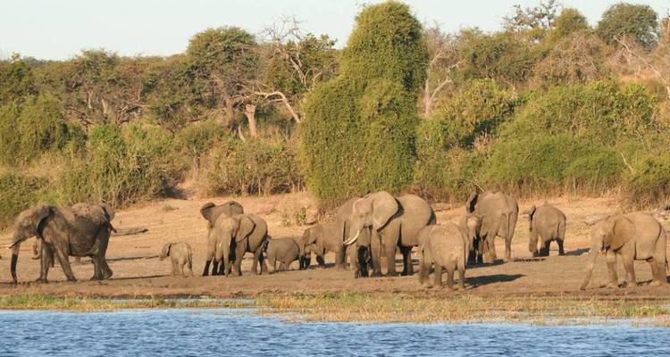 3-day Chobe Big Five Safari at Two Rivers Hotel - Knap Tours Limited 1