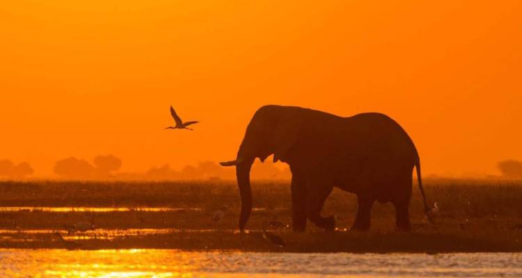 3-day Chobe Big Five Safari at Two Rivers Hotel - Knap Tours Limited 4