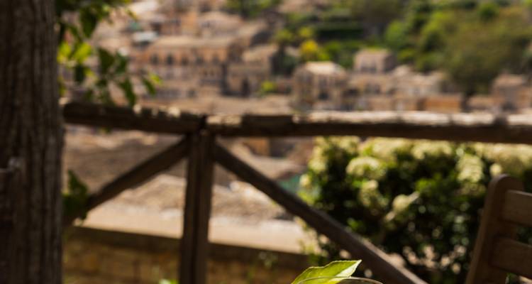 Small Group Sicilian Secrets Premium Collection - Unique Tour of Sicily (maximum 14 pax, mono English) - Dimensione Sicilia - Dimsi Incoming Operator Srl  8