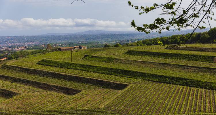 Small Group Sicilian Secrets Premium Collection - Unique Tour of Sicily (maximum 14 pax, mono English) - Dimensione Sicilia - Dimsi Incoming Operator Srl  9