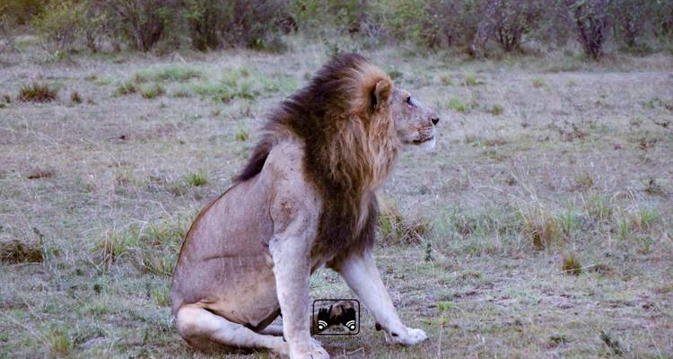 4 JOURS de participation à un groupe Safari au Kenya - Africa Venture Safaris 6
