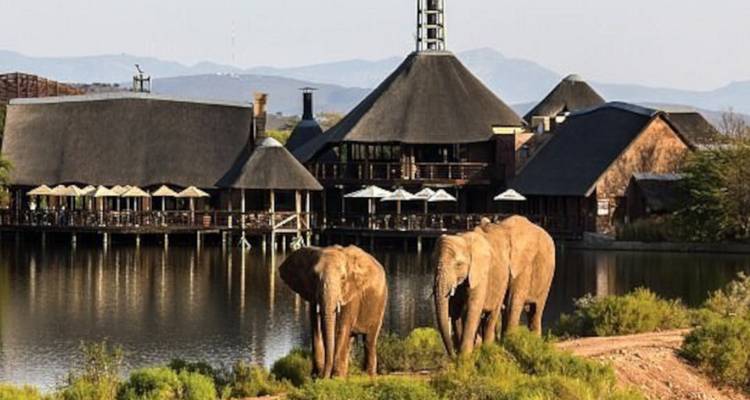 3-Day Cape Town Big Five Safari & Elephant Experience - Knap Tours Limited 5