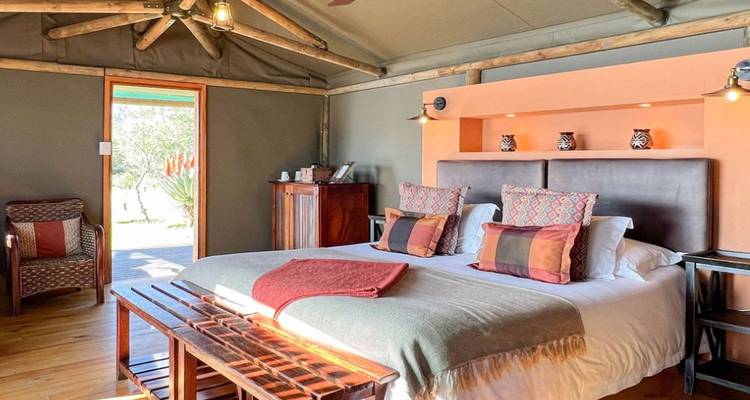 3-Day Cape Town Big Five Safari & Elephant Experience - Knap Tours Limited 2