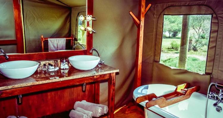 3-Day Cape Town Big Five Safari & Elephant Experience - Knap Tours Limited 3