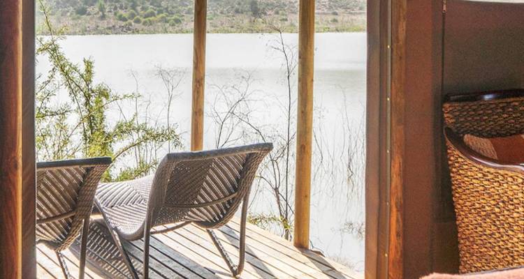 3-Day Cape Town Big Five Safari & Elephant Experience - Knap Tours Limited 4