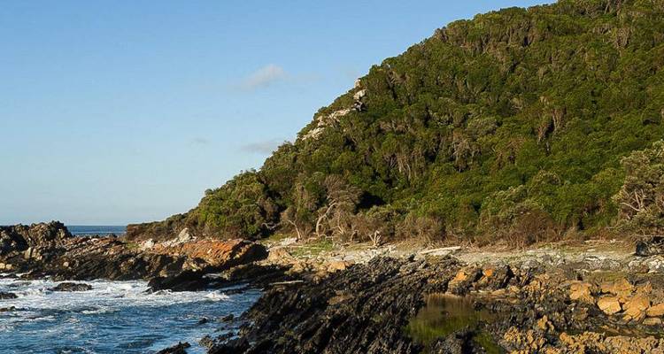 3-Day Cape Town Big Five Safari & Elephant Experience - Knap Tours Limited 7