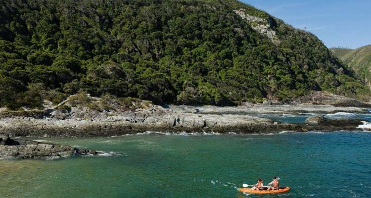 3-Day Cape Town Big Five Safari & Elephant Experience - Knap Tours Limited 8